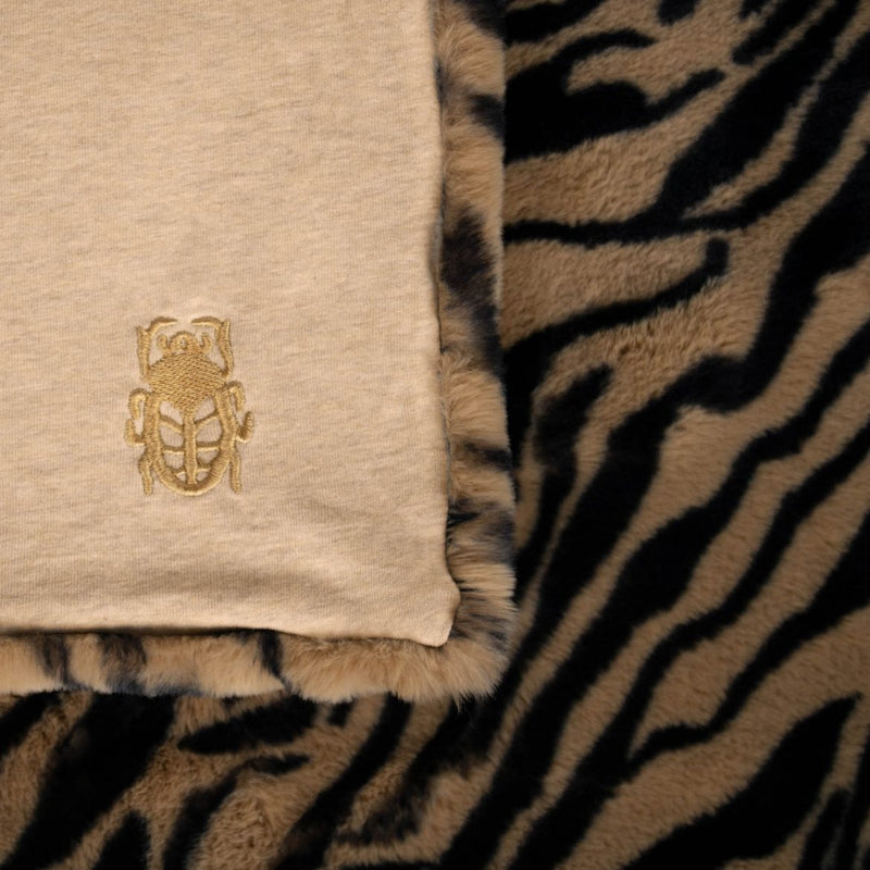Zoeppritz Reborn – Tiger und Camouflage